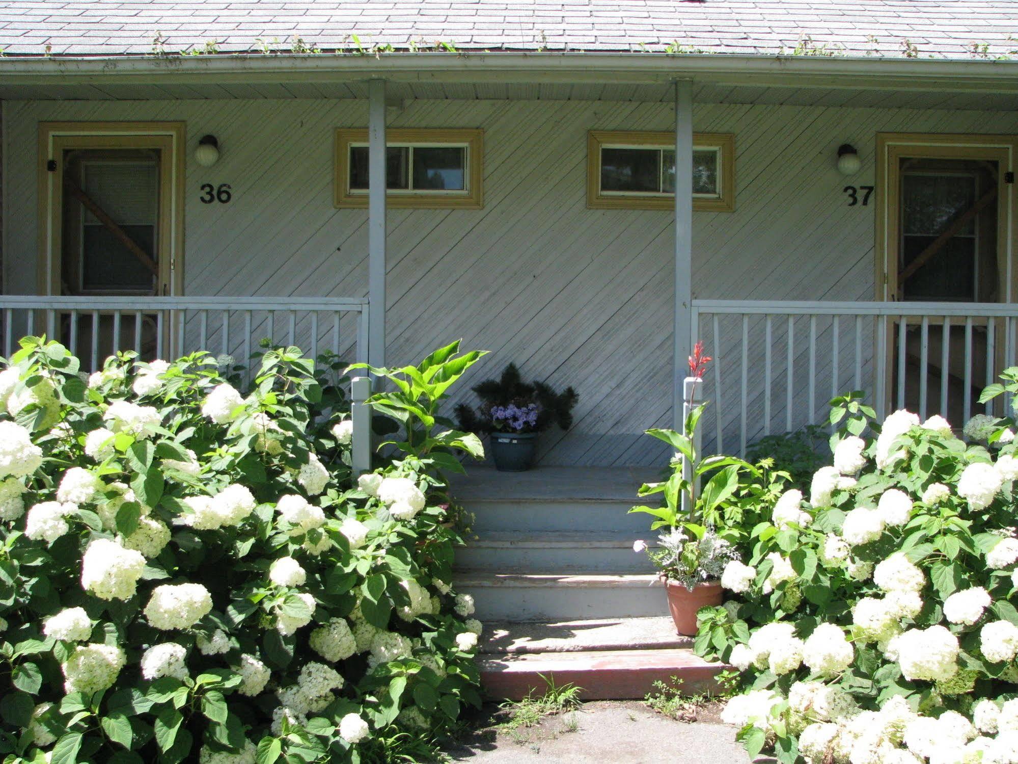 Motel Le Charentais Sorel Exterior foto